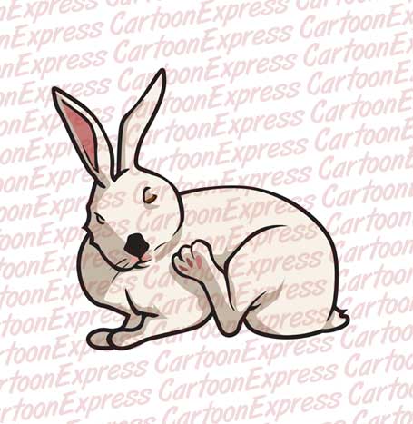 bunny scratching